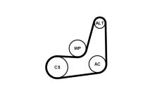 Sada žebrovaných klínových řemenů CONTINENTAL CTAM 6PK1019 ELAST K1