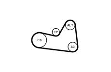 Sada žebrovaných klínových řemenů CONTINENTAL CTAM 6PK1026K1
