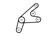 Sada žebrovaných klínových řemenů CONTINENTAL CTAM 6PK1306K3