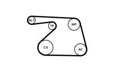 Sada žebrovaných klínových řemenů CONTINENTAL CTAM 6PK1325K1