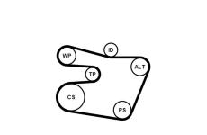 Sada žebrovaných klínových řemenů CONTINENTAL CTAM 6PK1538K1