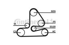 Sada žebrovaných klínových řemenů CONTINENTAL CTAM 6PK1613D1