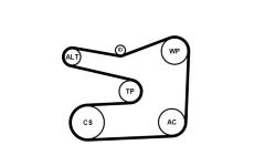Ozubený klinový remeň - Sada CONTINENTAL CTAM 6PK1635K1