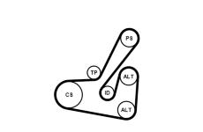 Sada žebrovaných klínových řemenů CONTINENTAL CTAM 6PK1740K2