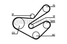 Sada žebrovaných klínových řemenů CONTINENTAL CTAM 6PK1740D1
