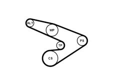 Sada žebrovaných klínových řemenů CONTINENTAL CTAM 6PK1800K1