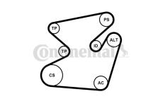 Sada žebrovaných klínových řemenů CONTINENTAL CTAM 6PK1950K1