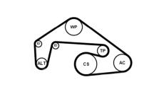 Sada žebrovaných klínových řemenů CONTINENTAL CTAM 6PK2460K1