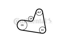 Sada žebrovaných klínových řemenů CONTINENTAL CTAM 6PK962K1