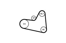 Sada žebrovaných klínových řemenů CONTINENTAL CTAM 6PK976K1