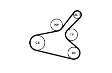 Sada žebrovaných klínových řemenů CONTINENTAL CTAM 7PK1145K1