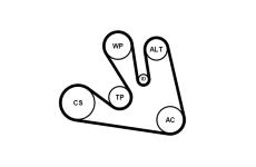 Sada žebrovaných klínových řemenů CONTINENTAL CTAM 7PK1675K1