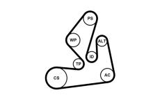 Sada žebrovaných klínových řemenů CONTINENTAL CTAM 7PK1970K1