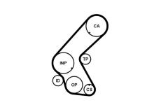 ozubení,sada rozvodového řemene CONTINENTAL CTAM CT1014K5