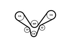 ozubení,sada rozvodového řemene CONTINENTAL CTAM CT1015K1