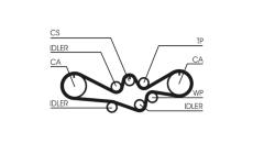 ozubení,sada rozvodového řemene CONTINENTAL CTAM CT1050K1