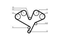 ozubený řemen CONTINENTAL CTAM CT1113
