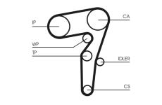 ozubený řemen CONTINENTAL CTAM CT1261