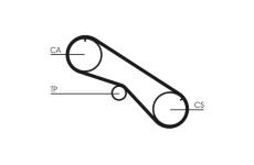 Ozubený řemen CONTINENTAL CTAM CT818
