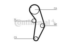 ozubení,sada rozvodového řemene CONTINENTAL CTAM CT841K1