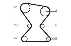 ozubení,sada rozvodového řemene CONTINENTAL CTAM CT842K1