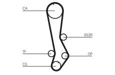 Ozubený řemen CONTITECH CT876