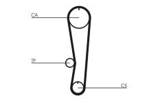 Ozubený řemen CONTINENTAL CTAM CT895