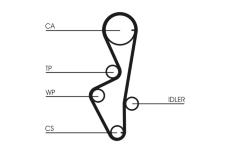 Ozubený řemen CONTINENTAL CTAM CT916