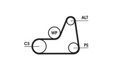 ozubený klínový řemen CONTINENTAL CTAM 6PK1042 ELAST