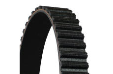 Ozubený řemen CONTINENTAL CTAM CT1135