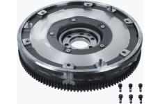 Setrvačník Sachs 6366 000 005