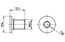 Sroub, brzdovy kotouc TEXTAR TPM0002