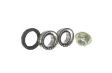 Sada ložisek kol SKF VKBA 3666