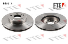 Brzdový kotouč FTE 9072634