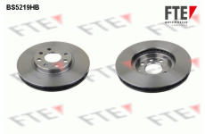 Brzdový kotouč FTE 9082554