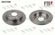 Brzdový kotouč FTE 9082563