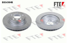 Brzdový kotouč FTE 9082572