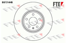 Brzdový kotouč FTE 9082595