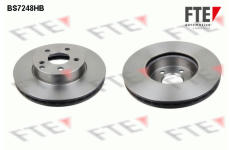 Brzdový kotouč FTE 9082604