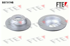 Brzdový kotouč FTE 9072844