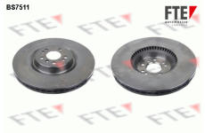 Brzdový kotouč FTE 9071331