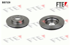 Brzdový kotouč FTE 9072105