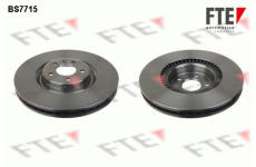 Brzdový kotouč FTE 9071252