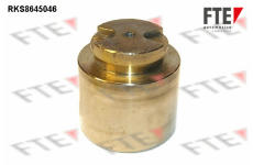 Píst, brzdový třmen FTE 9313417