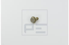 Šroub PE Automotive 011.371-00A