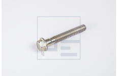 Šroub setrvačníku PE Automotive 100.206-00A