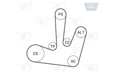 Sada žebrovaných klínových řemenů OPTIBELT 6 PK 1795KT1