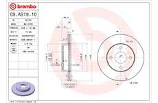 Brzdový kotouč BREMBO 09.A919.10