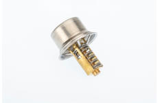 Termostat, chladivo BorgWarner (Wahler) 411678.81D