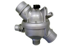 Termostat, chladivo BorgWarner (Wahler) 4689.97D0